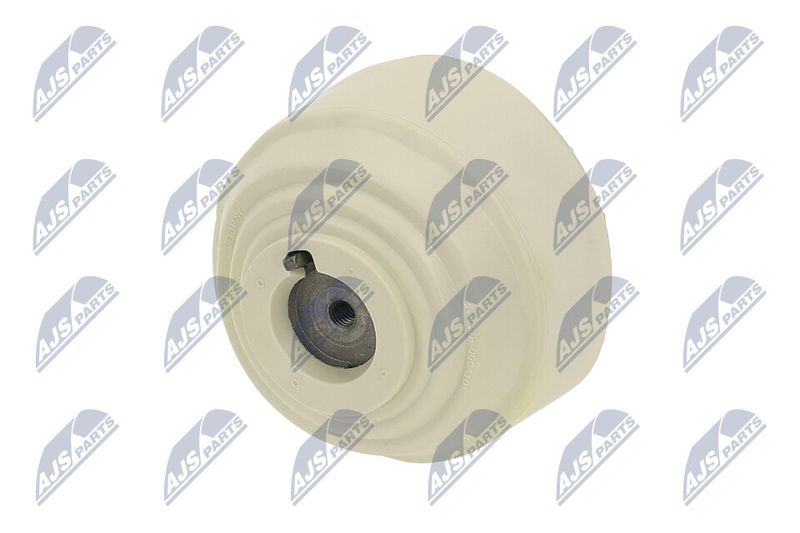 Paigutus, Mootor, NTY ZPS-ME-100