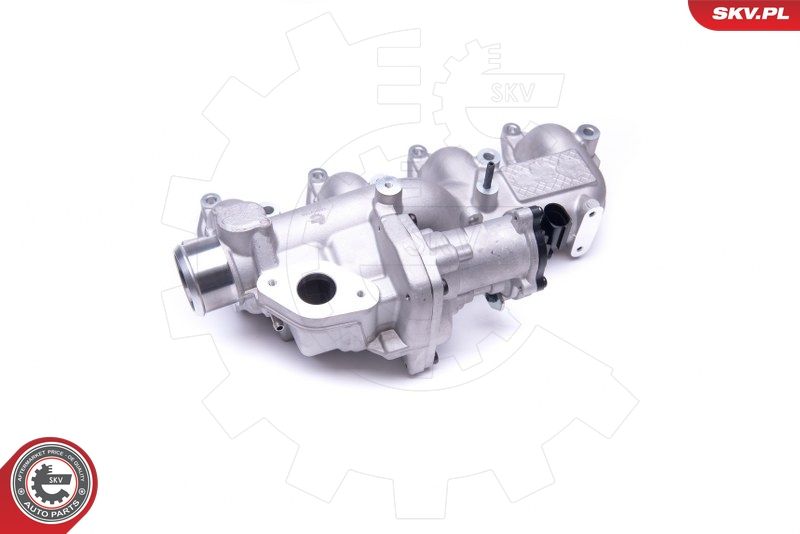 ESEN SKV 14SKV155 EGR Valve