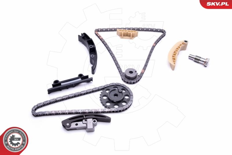 ESEN SKV 21SKV192 Timing Chain Kit