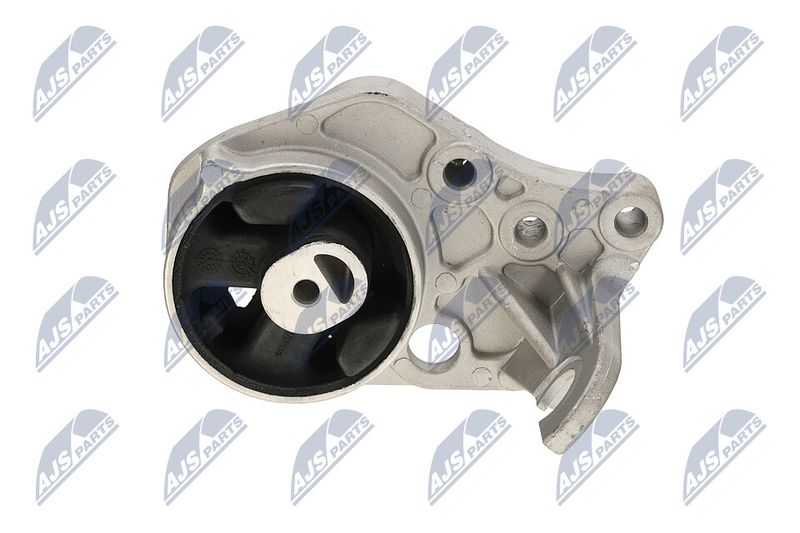 Paigutus, Mootor, NTY ZPS-CH-113