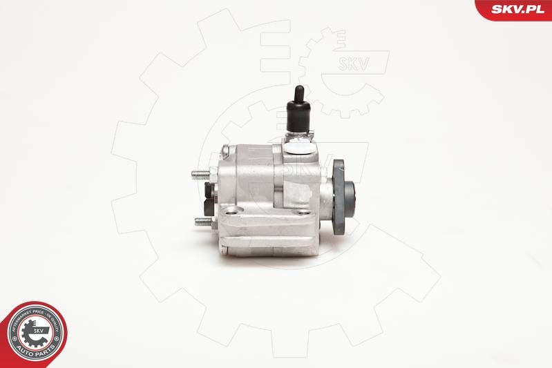 ESEN SKV 10SKV109 Hydraulic Pump, steering