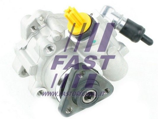 Power steering pump without wheel 1.3 jtd FAST FT36210