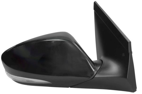 BLIC 5402-20-0542313P Exterior Mirror