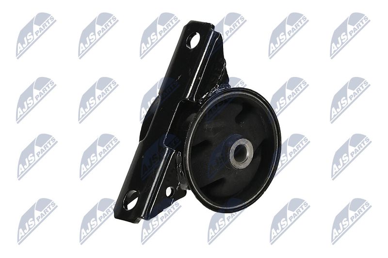 Paigutus, Mootor, NTY ZPS-MS-018