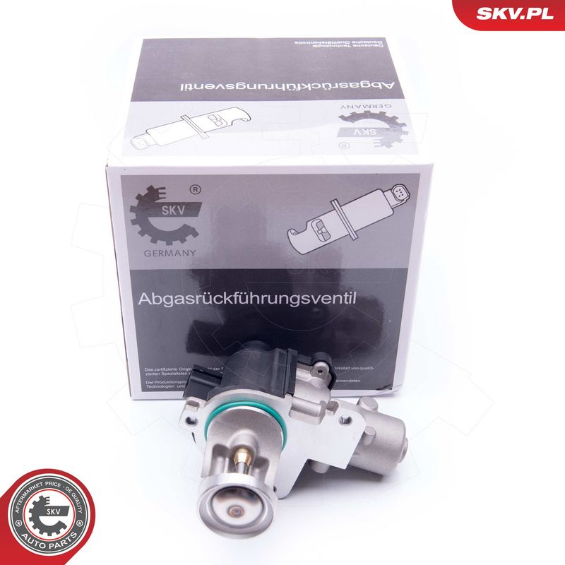 EGR-klapp, ESEN SKV 14SKV172