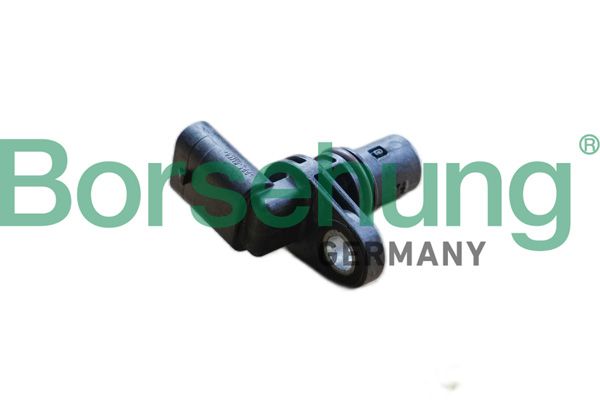 Andur, Nukkvõllipositsioon, Borsehung B11854