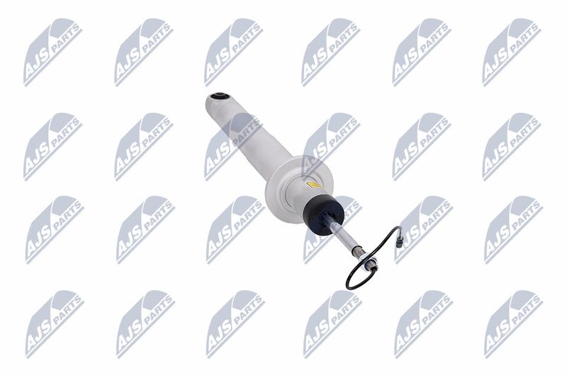 Amort, NTY A-MA-003