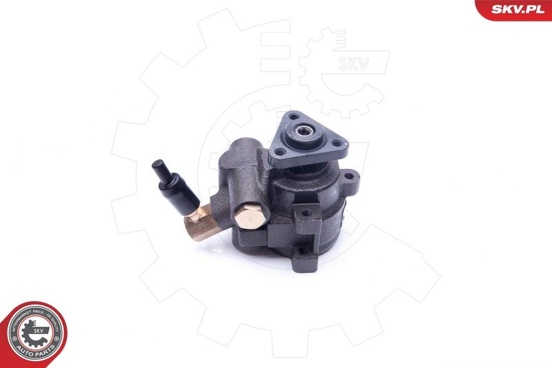 ESEN SKV 10SKV253 Hydraulic Pump, steering
