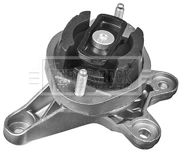 BEM4190_210918.JPG