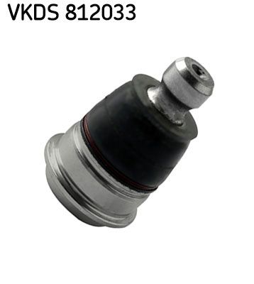 VKDS 812033.JPG