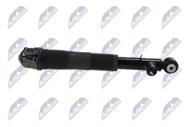 Amort, NTY A-LR-036