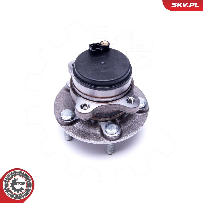 Rattalaagrikomplekt, ESEN SKV 29SKV381