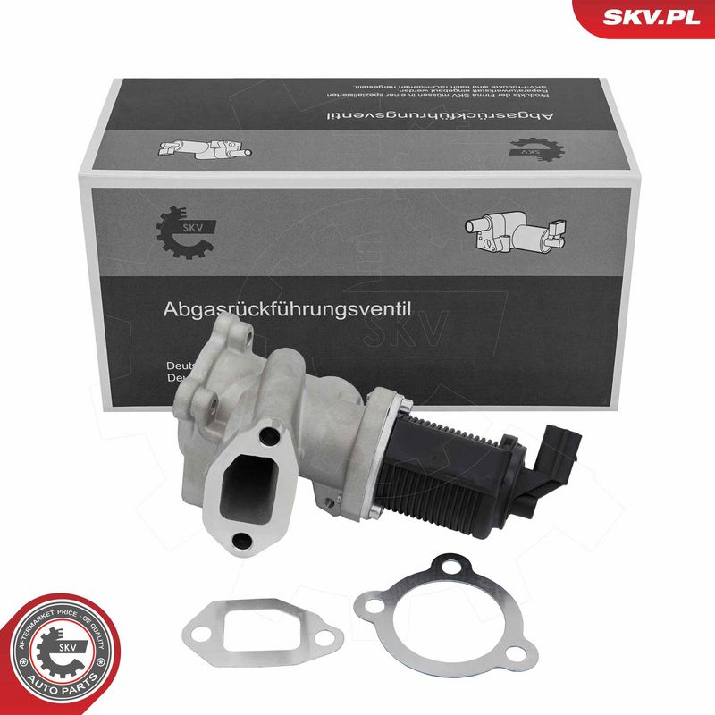 EGR-klapp, ESEN SKV 14SKV314