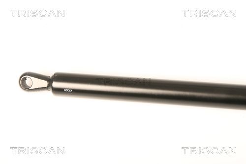 TRIS87109016_2.JPG