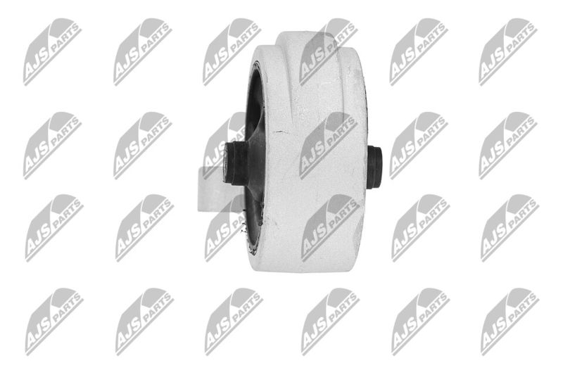 Paigutus, Mootor, NTY ZPS-KA-312