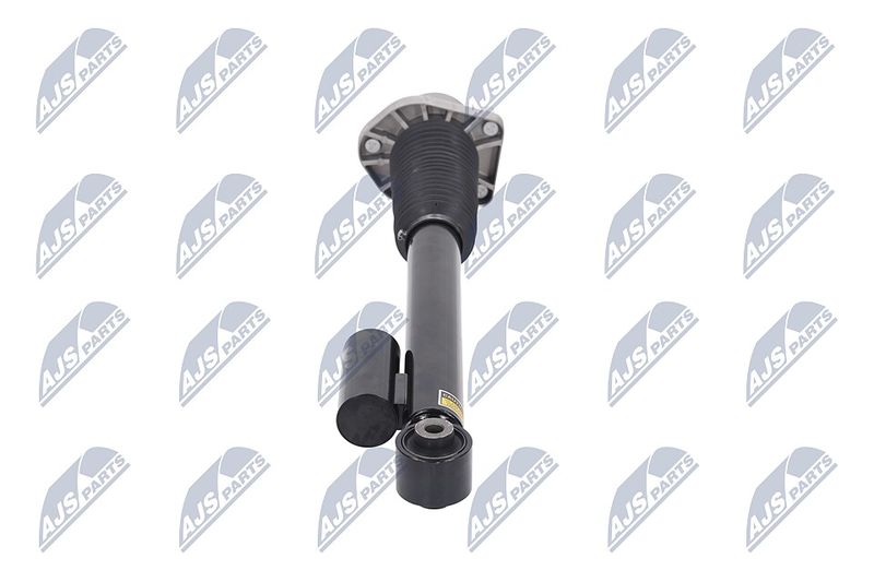 Amort, NTY A-LR-019