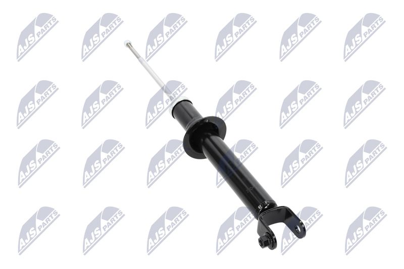 Amort, NTY A-CH-055