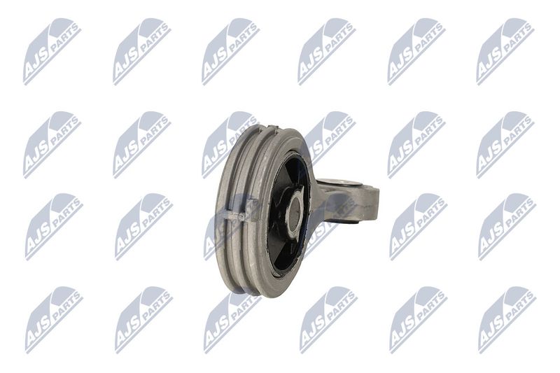 Paigutus, Mootor, NTY ZPS-FT-003