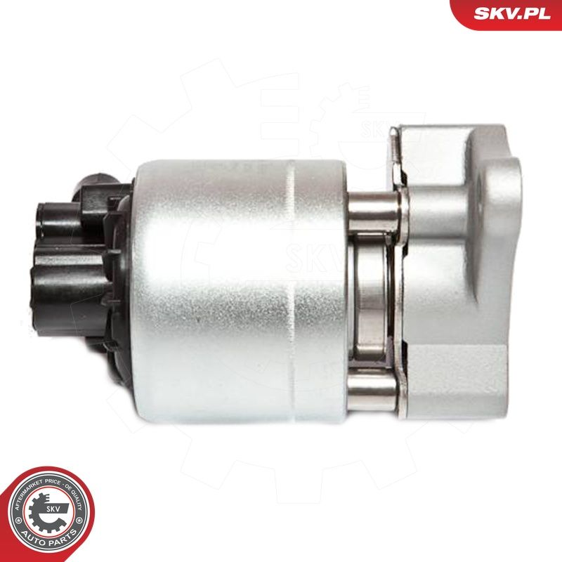 EGR-klapp, ESEN SKV 14SKV042