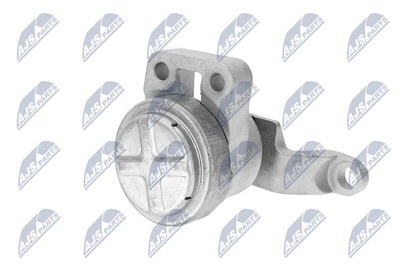 Paigutus, Mootor, NTY ZPS-FR-033