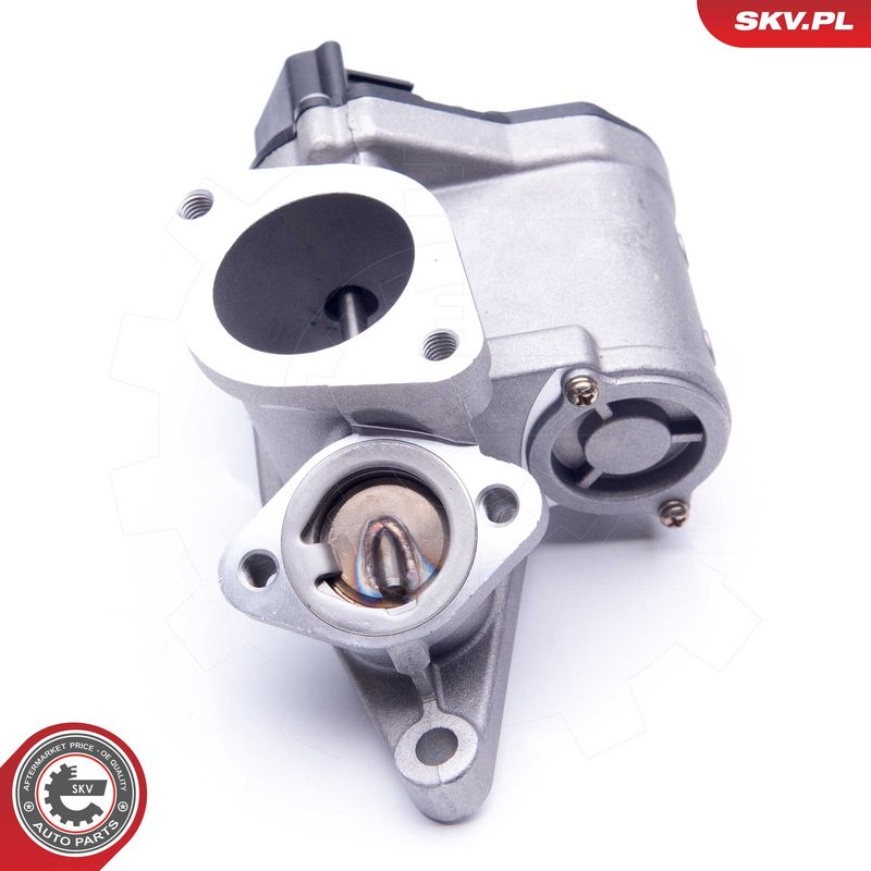 EGR-klapp, ESEN SKV 14SKV165