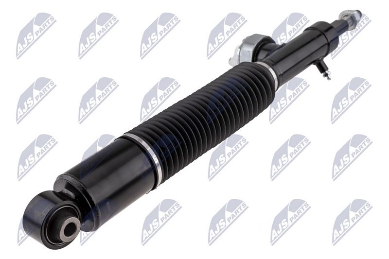 Amort, NTY A-NS-056
