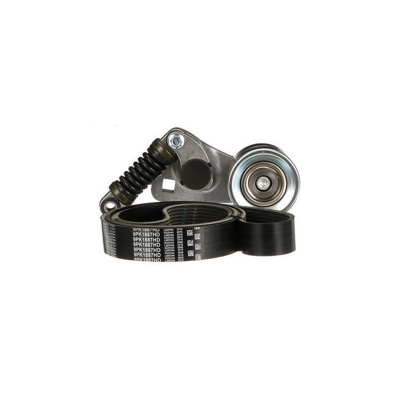 Multi-V-riemset met spanner past: MERCEDES ACTROS, ACTROS MP2 / MP3 OM541.920-OM542.962 04.96-