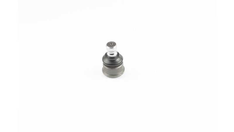 SKF VKDS 316006 Šarnyras / girgždukas