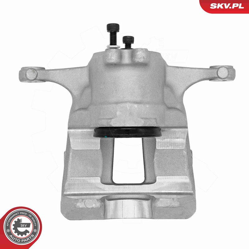 ESEN SKV 89SKV493 Brake Caliper