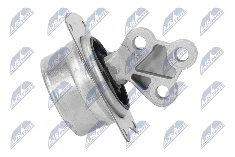 Paigutus, Mootor, NTY ZPS-PL-025