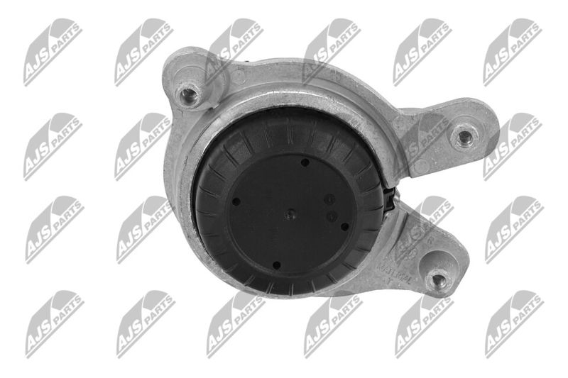 Paigutus, Mootor, NTY ZPS-ME-049