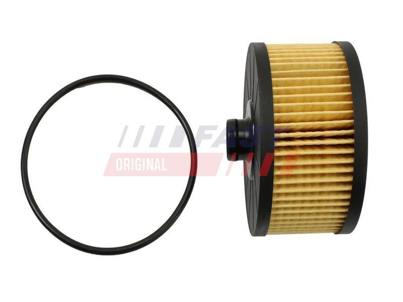 Filtru ulei FAST FT38097