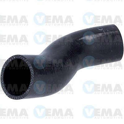 VE502072.JPG