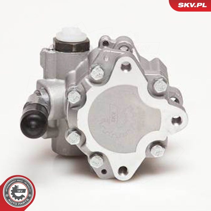Hüdraulikapump, roolimine, ESEN SKV 10SKV110