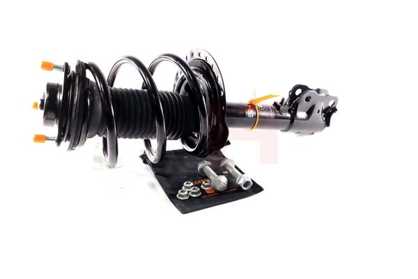 Vedruamort, GH GH-353057C01