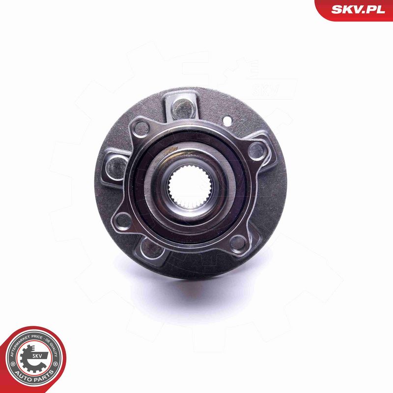 ESEN SKV 29SKV405 Wheel Bearing Kit