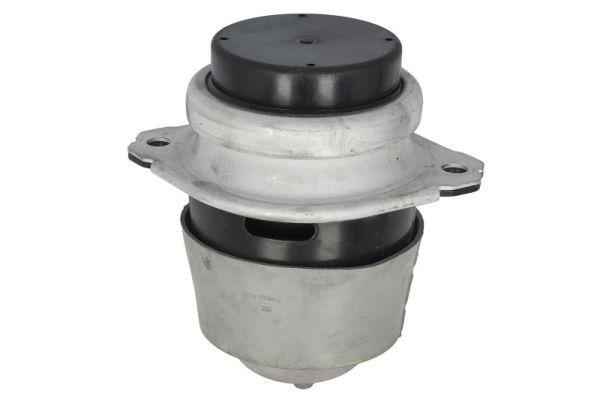 REINHOCH RH11-0181 Mounting, engine