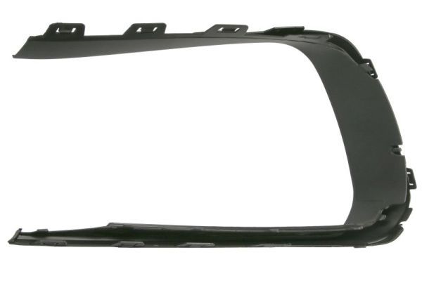 BLIC 5703-05-5724925P Trim/Protection Strip, bumper