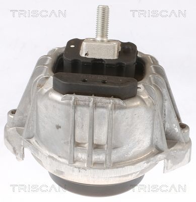 TRISCAN felfüggesztés, motor 8505 11103