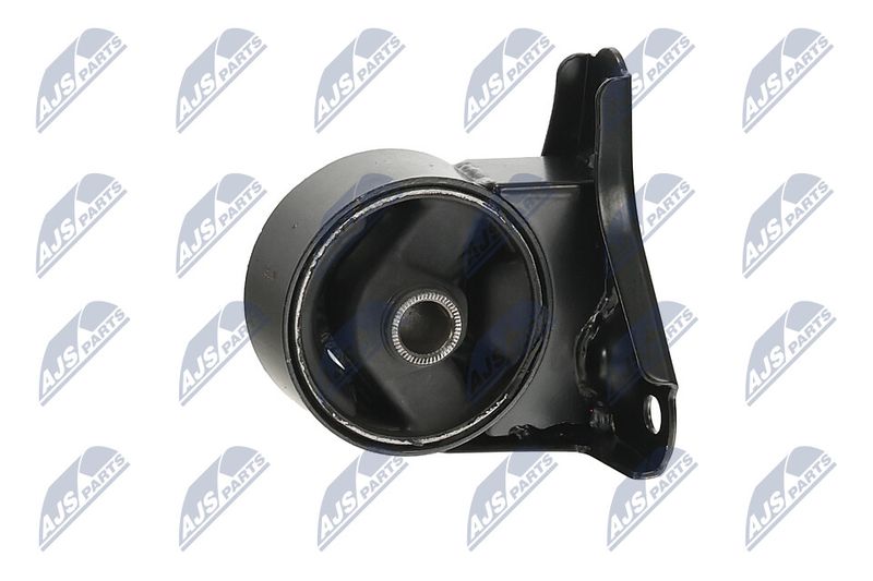 Paigutus, Mootor, NTY ZPS-KA-300