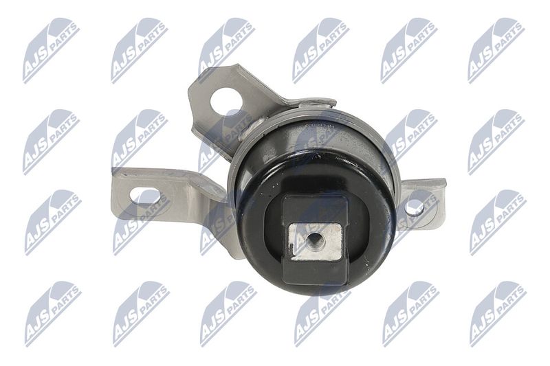 Paigutus, Mootor, NTY ZPS-LR-003