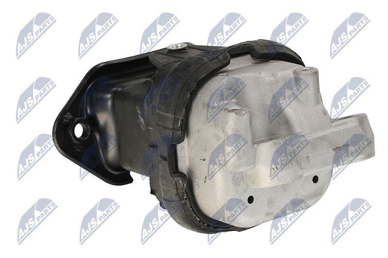 Paigutus, Mootor, NTY ZPS-CH-116