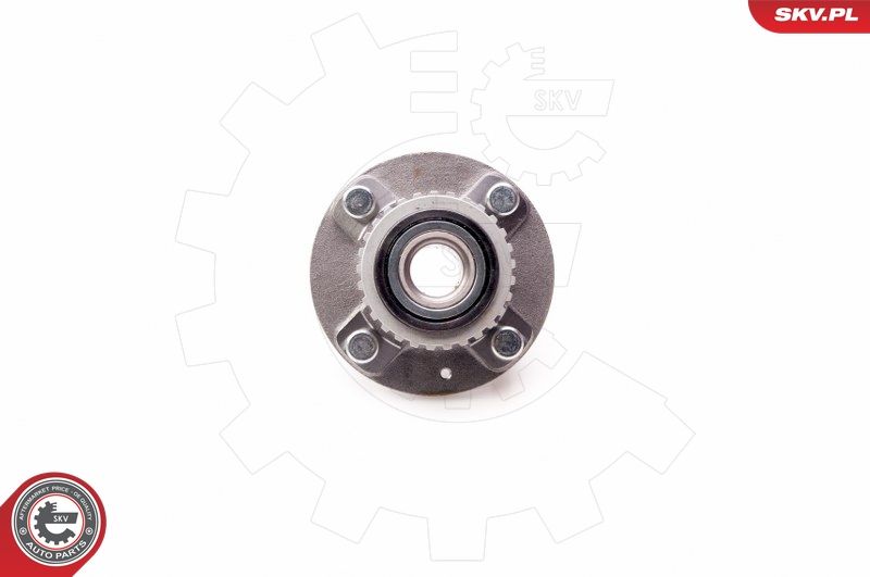 ESEN SKV 29SKV114 Wheel Bearing Kit