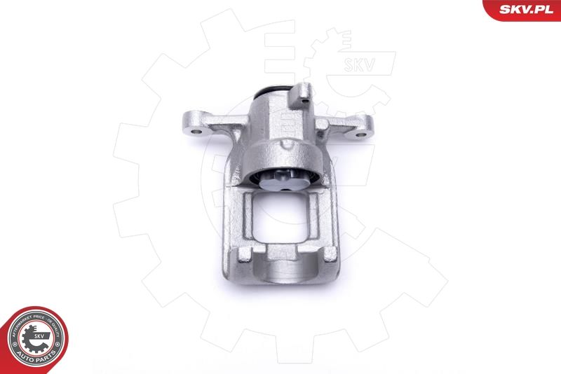 ESEN SKV 44SKV484 Brake Caliper