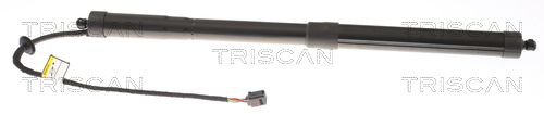 TRISCAN Gasveer, kofferruimte 8710 27310