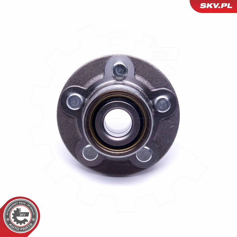 Rattalaagrikomplekt, ESEN SKV 29SKV378