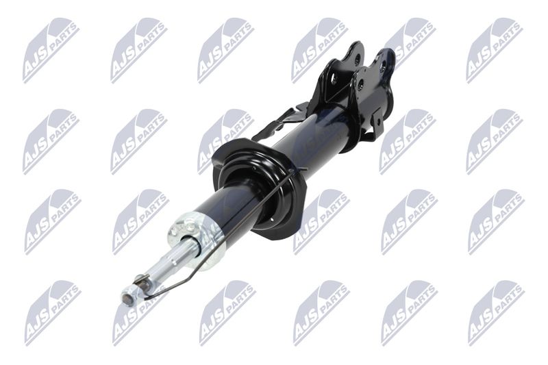 Amort, NTY A-NS-009