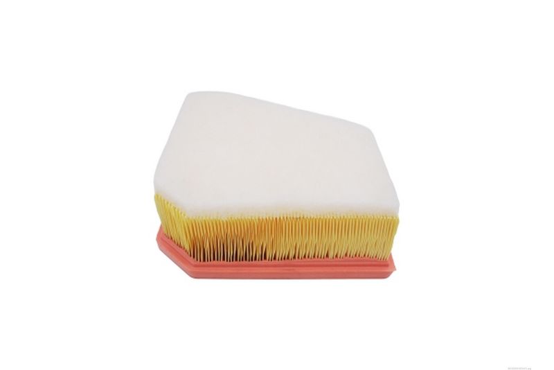 AUTOMEGA 250051010 Air Filter