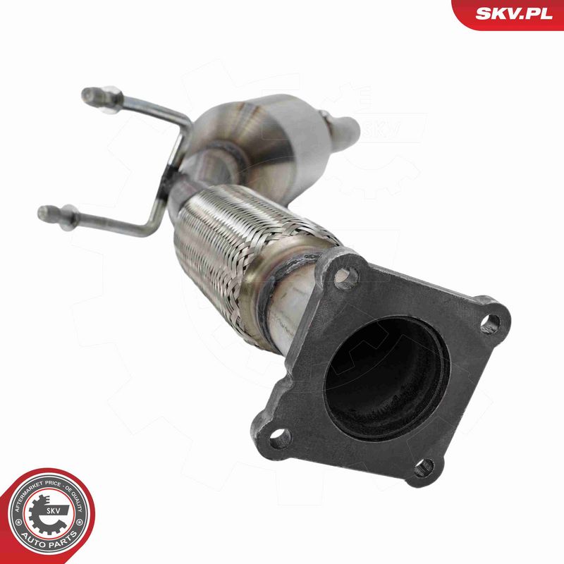 ESEN SKV 62SKV161 Catalytic Converter