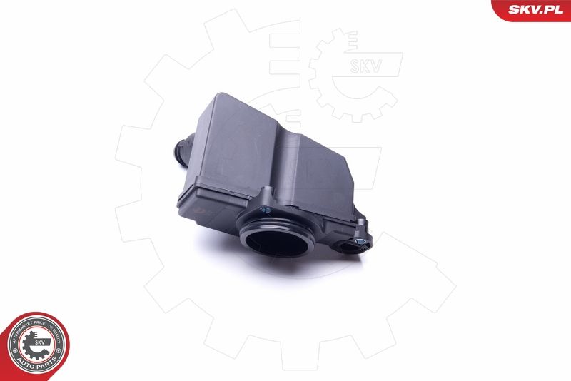 ESEN SKV 31SKV098 Repair Kit, crankcase ventilation